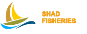 Shad Fisheries